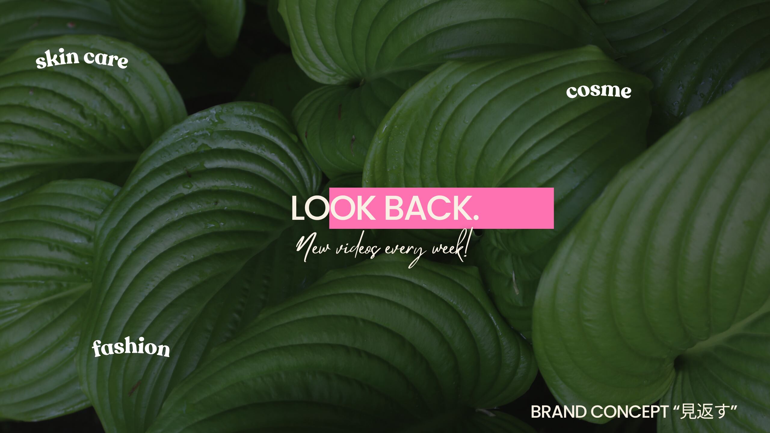 Look Back.