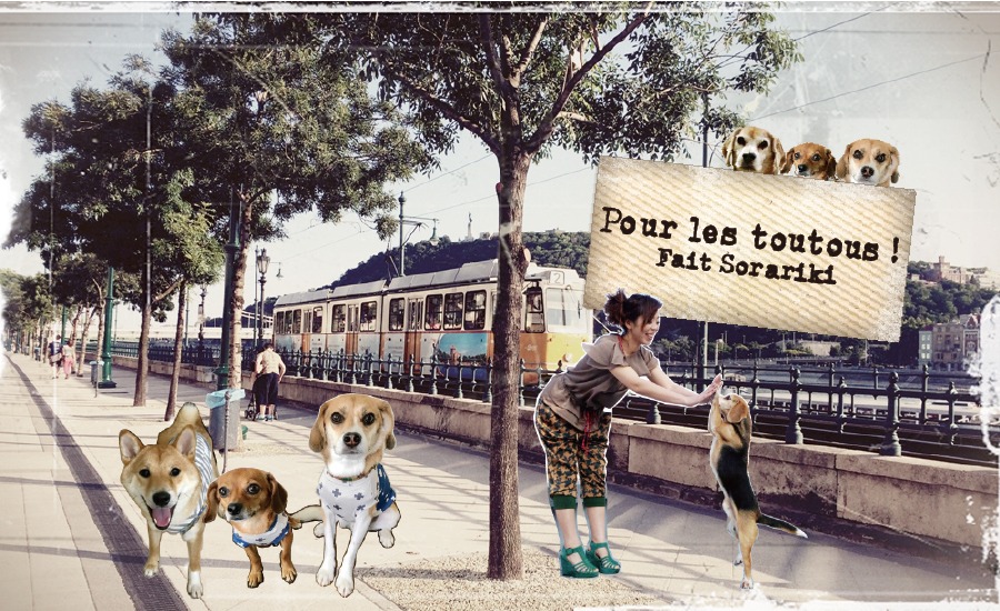 Sorariki / Pour les toutous !