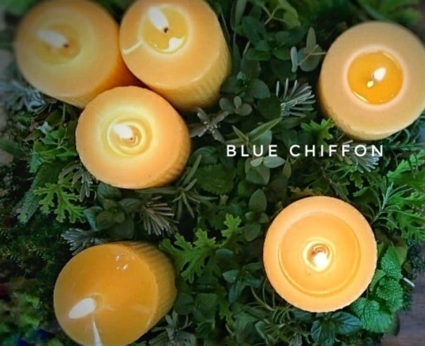 Bluechiffon
