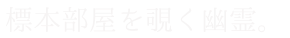 標本部屋を覗く幽霊。