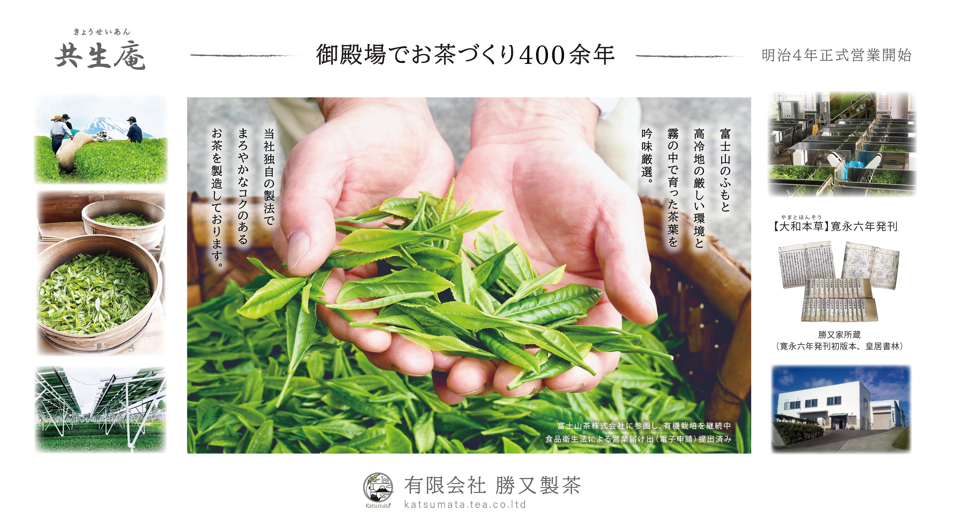 有限会社 勝又製茶