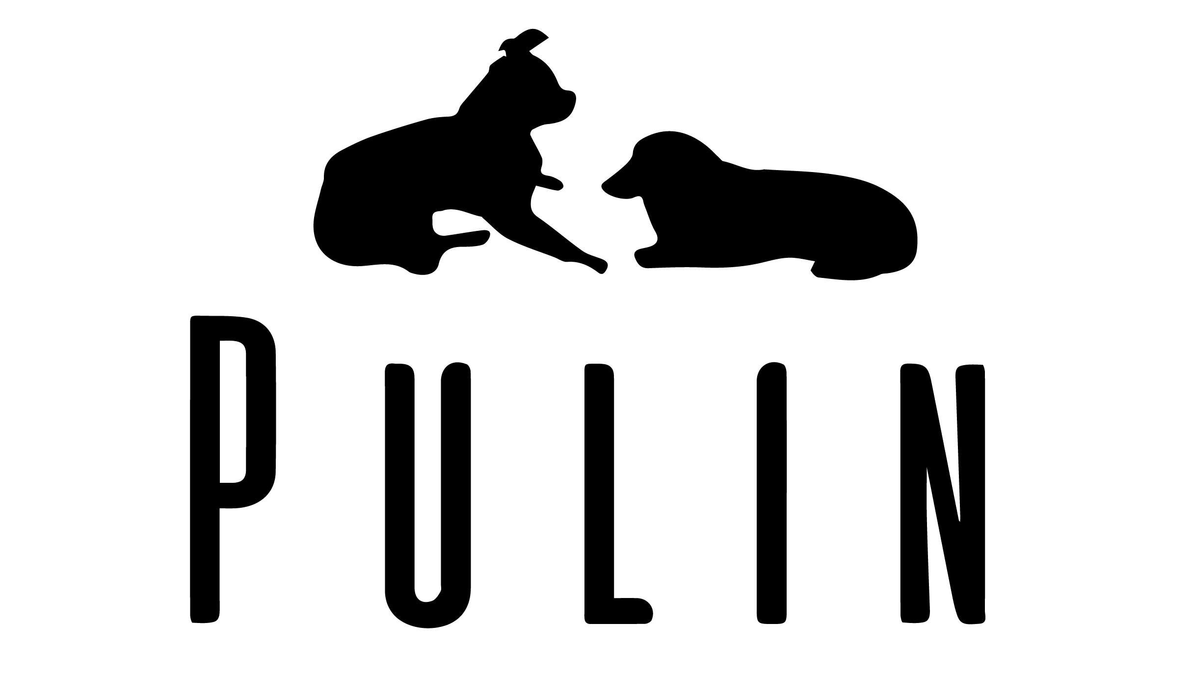 Pulin