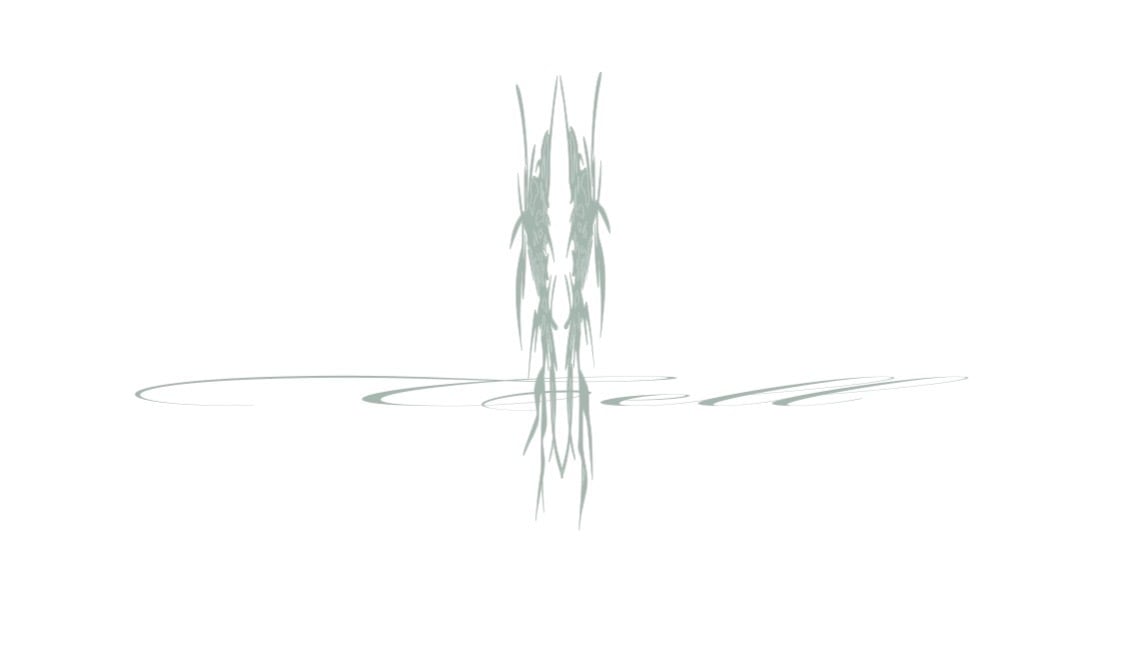 cell