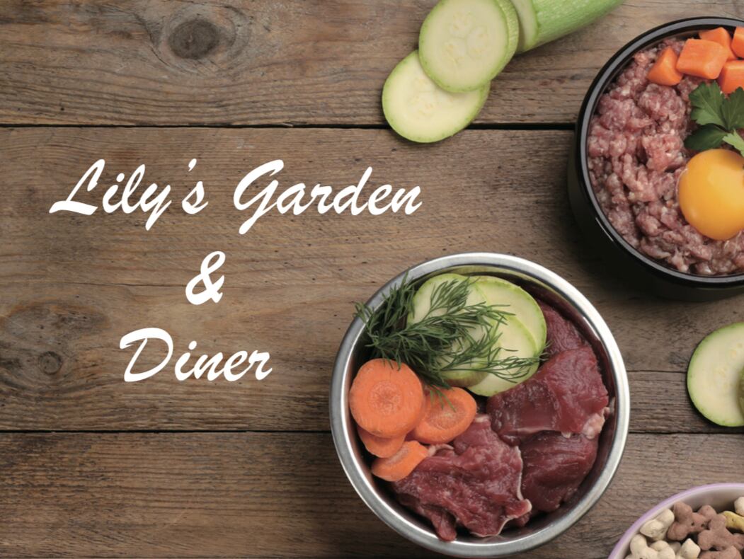 CONTACT Lily's Garden & Diner