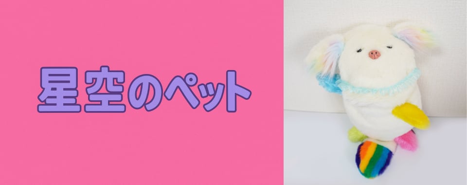星空のペット