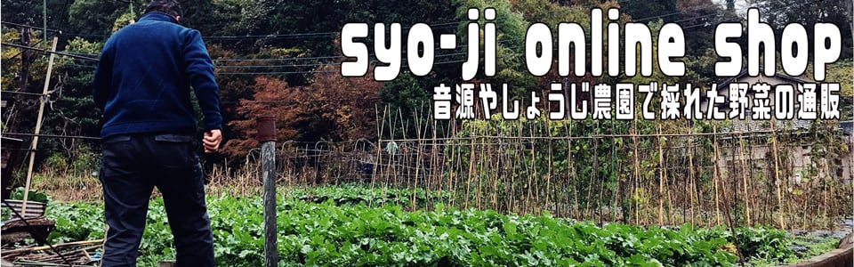 syoji online shop