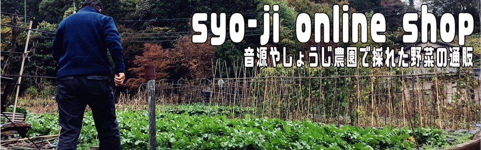 syoji online shop