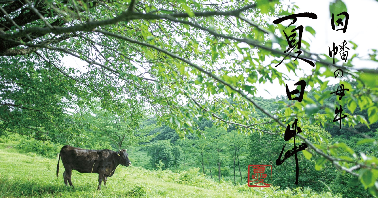 夏日牛 | やさしいからおいしいお母さん牛｜オンラインショップ