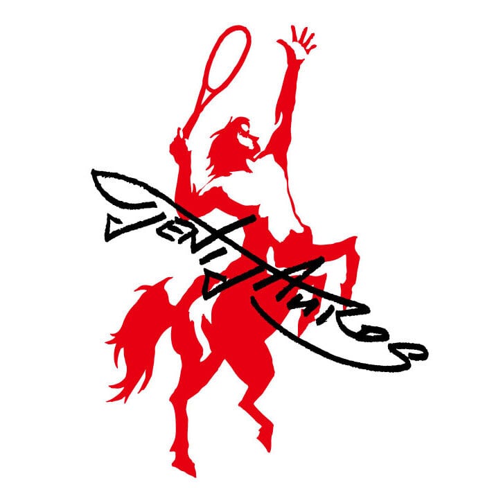 Tenitauros【テニタウロス】のTシャツ