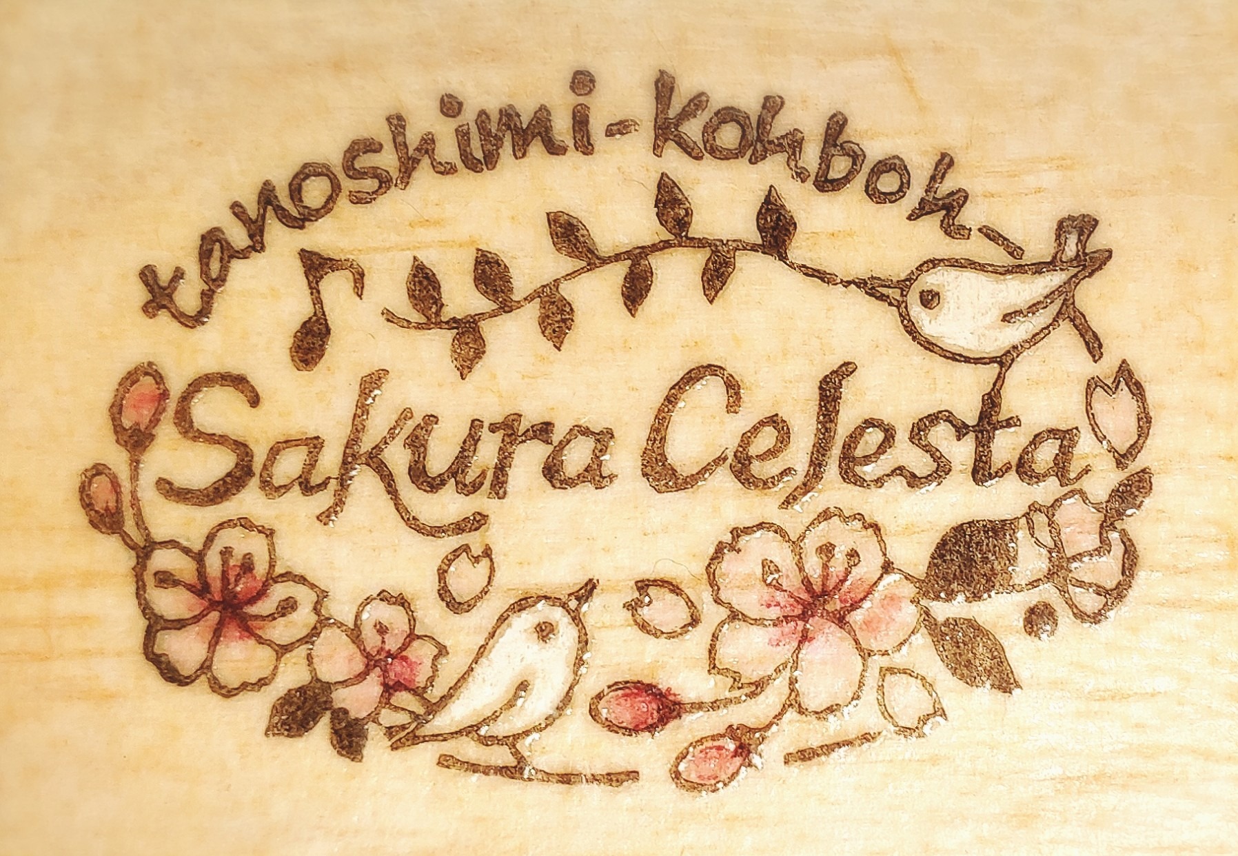 愉しみ工房  Sakura Celesta