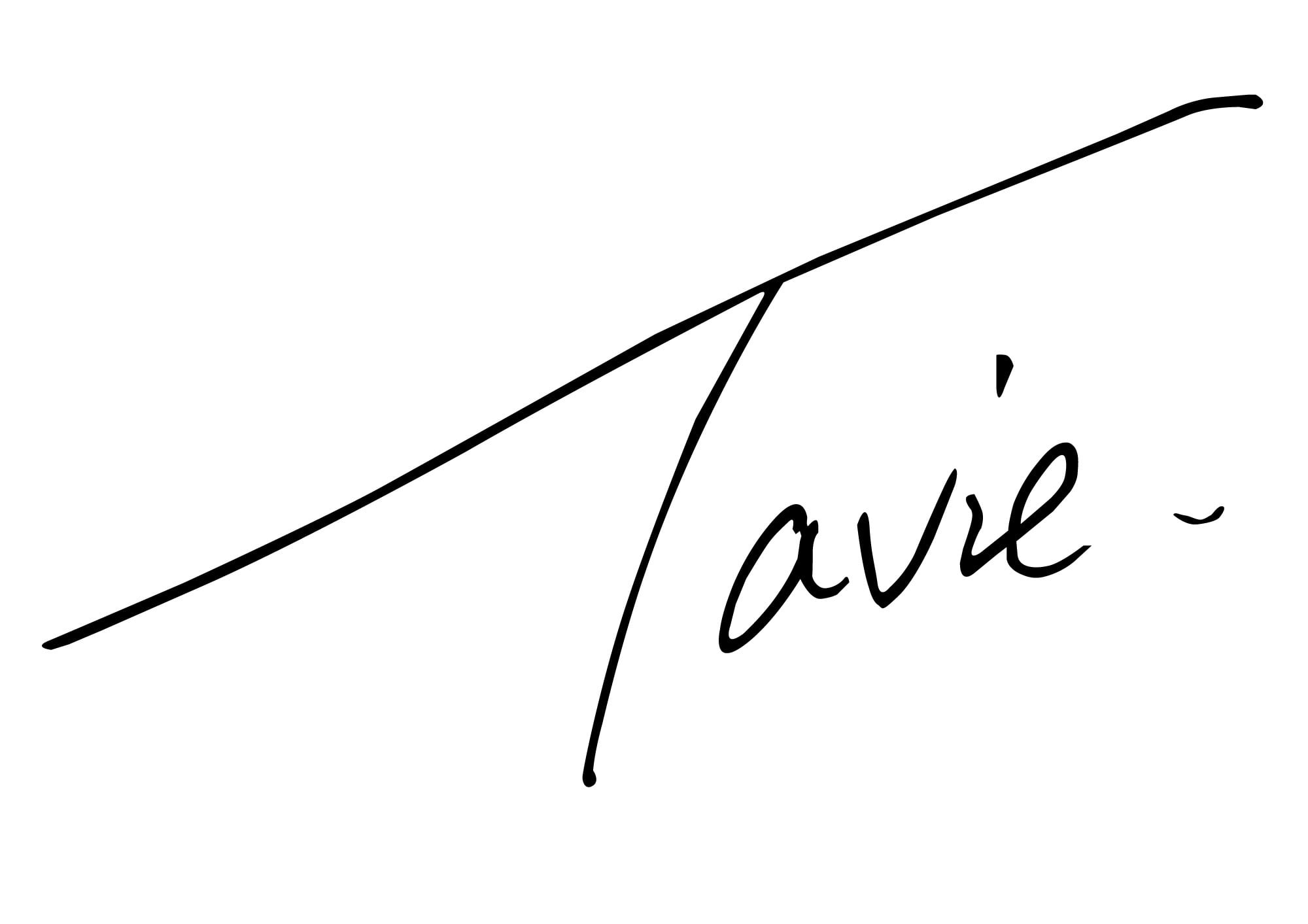 Tavie Coffee Roaster