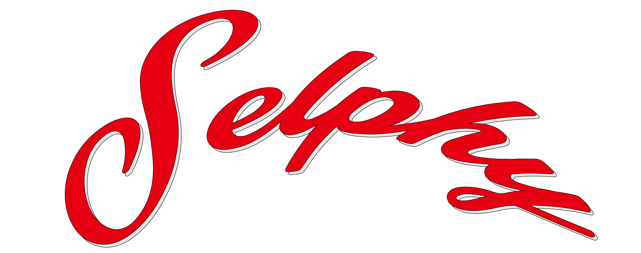 せるふぃOfficialStore
