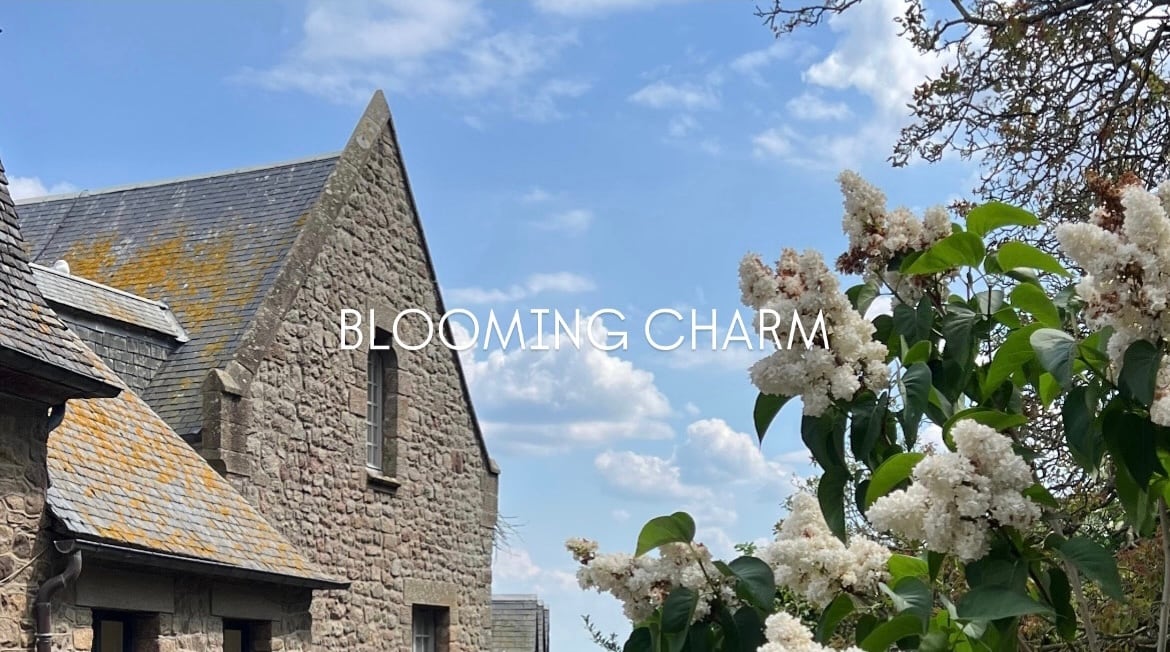BLOOMING CHARM