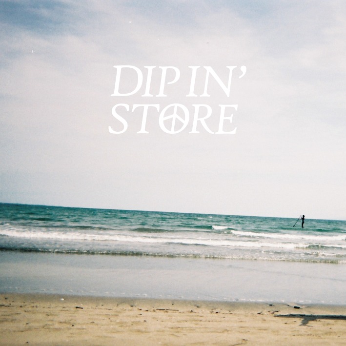 DIP IN' STORE