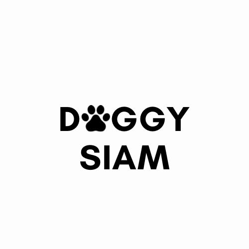 DOGGY SIAM