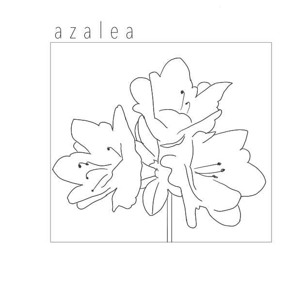 azalea