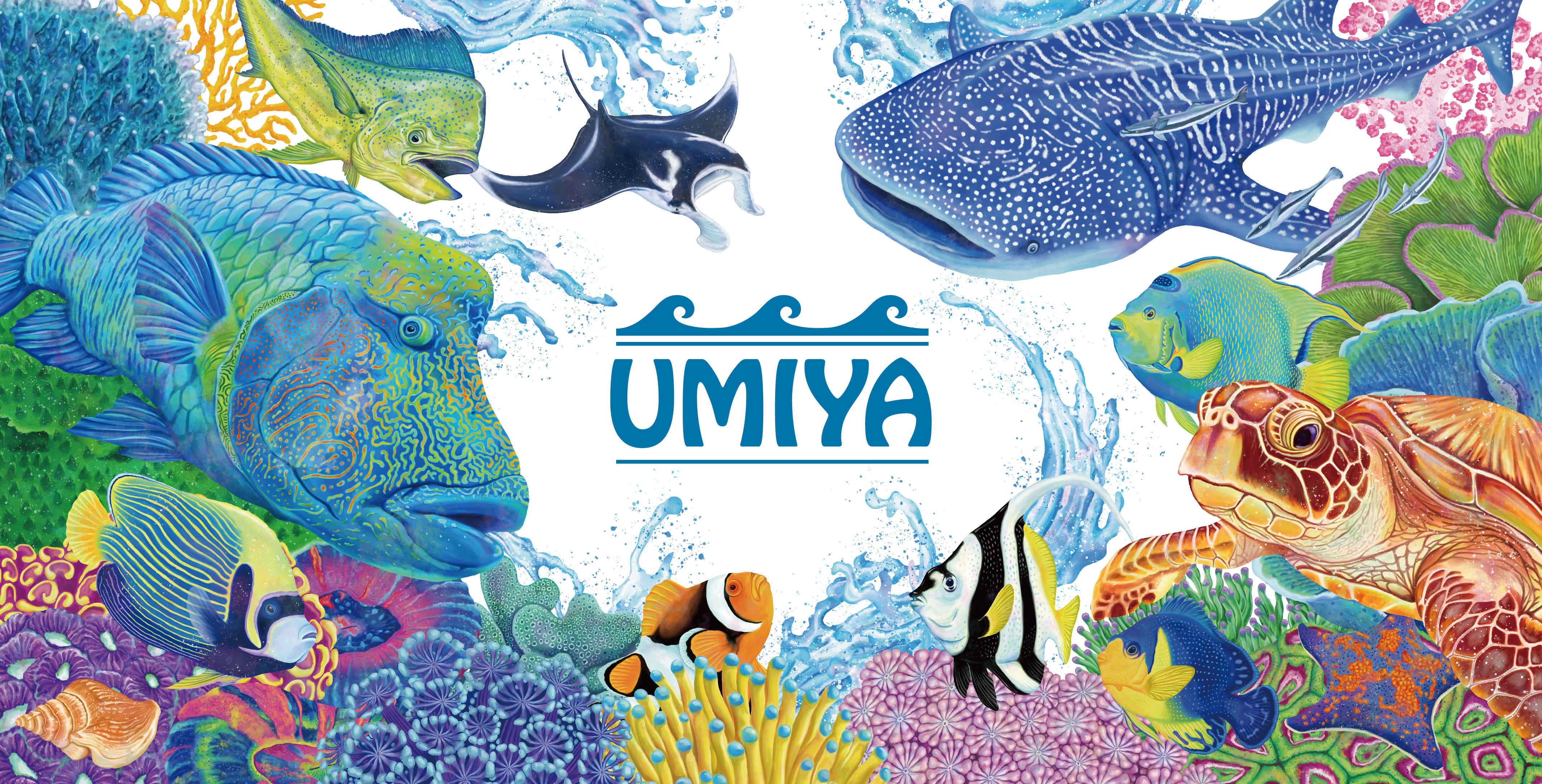 UMIYA（ウミヤ）