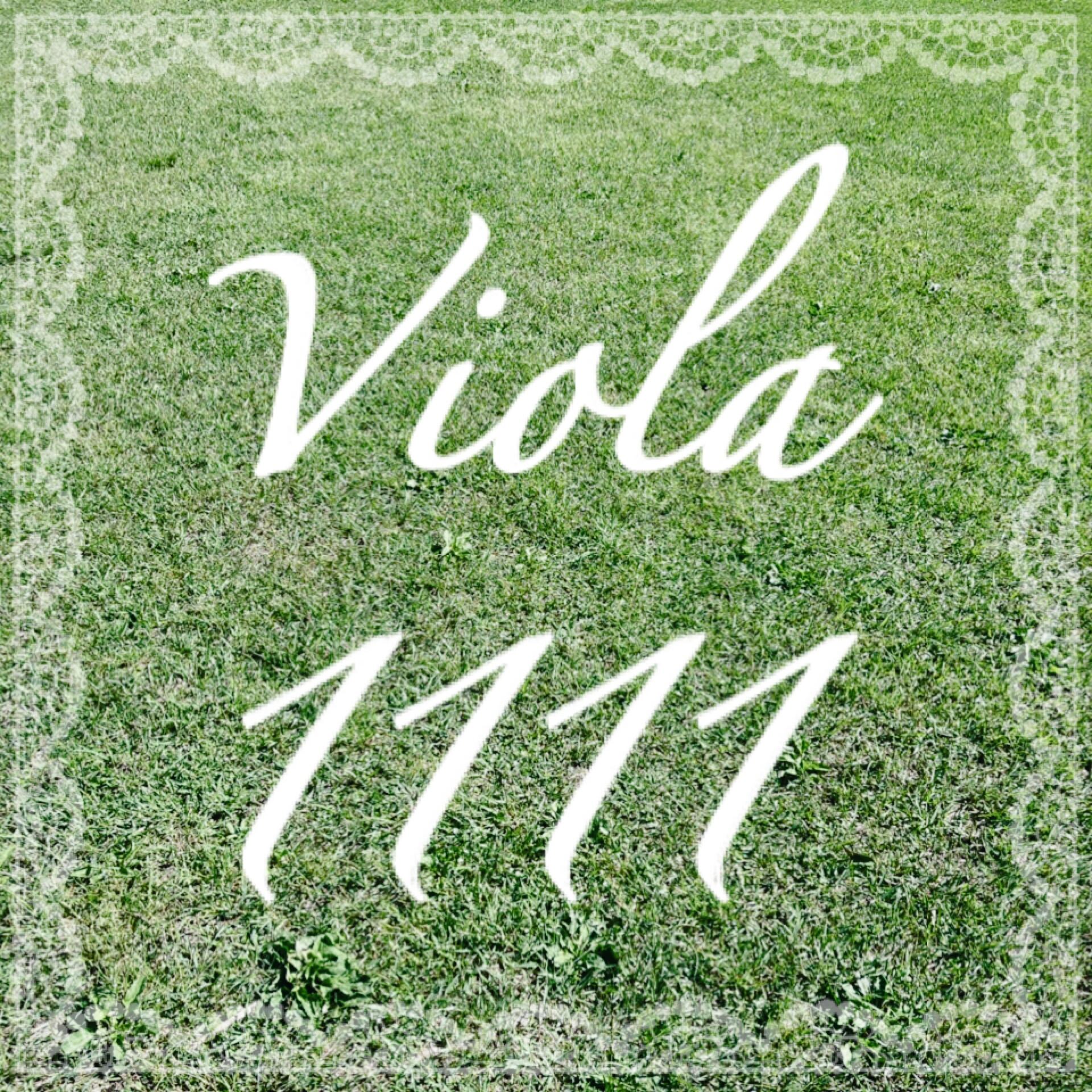 Viola1111