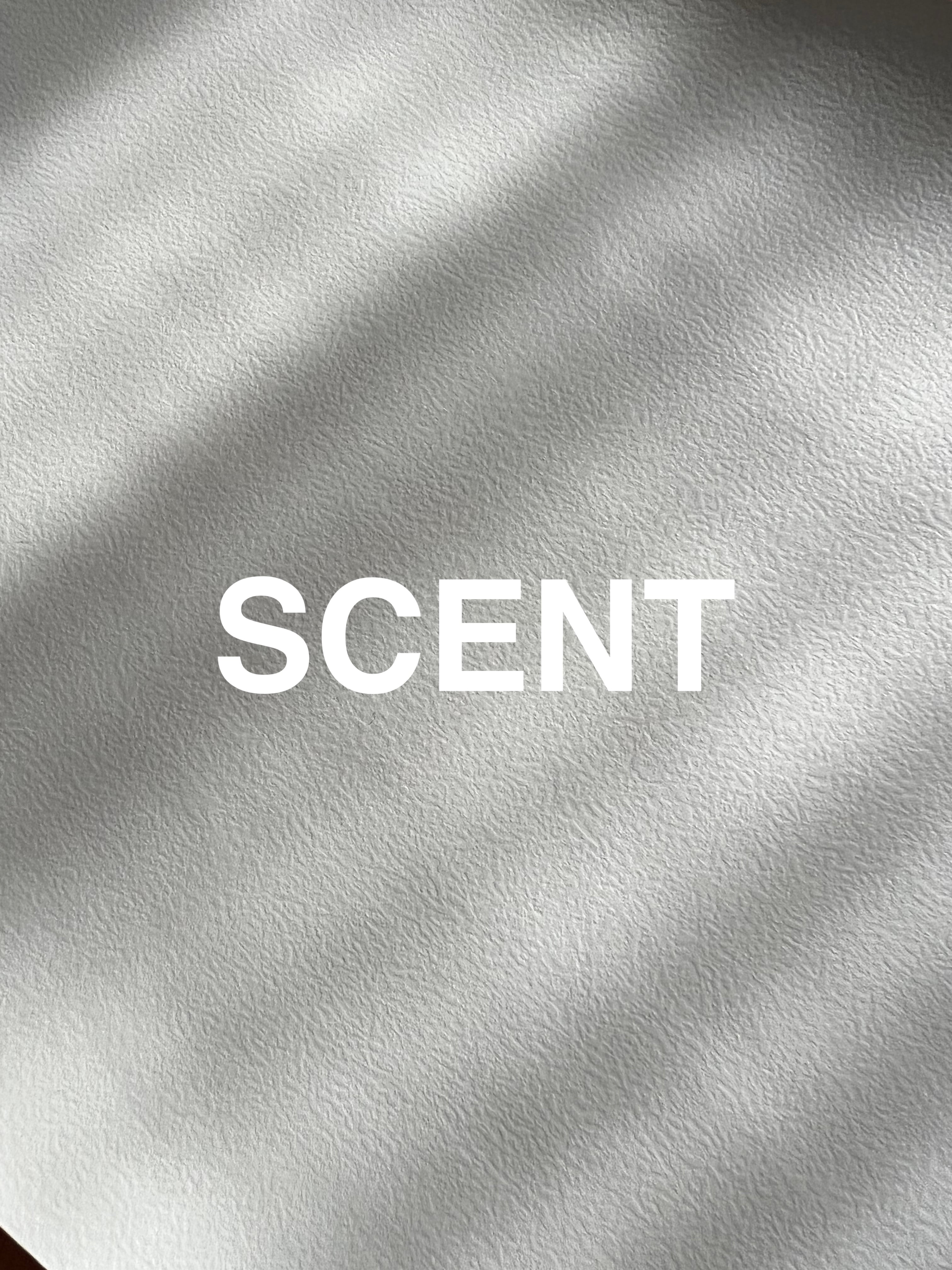 Scentnt SCENT