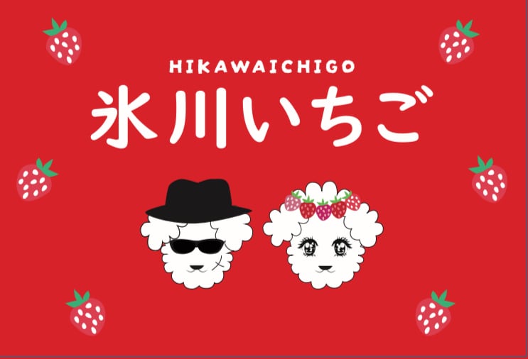 氷川いちご