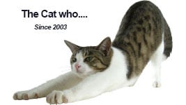 About Shop The Cat Who 猫雑貨 長崎の変グッズ Baseec