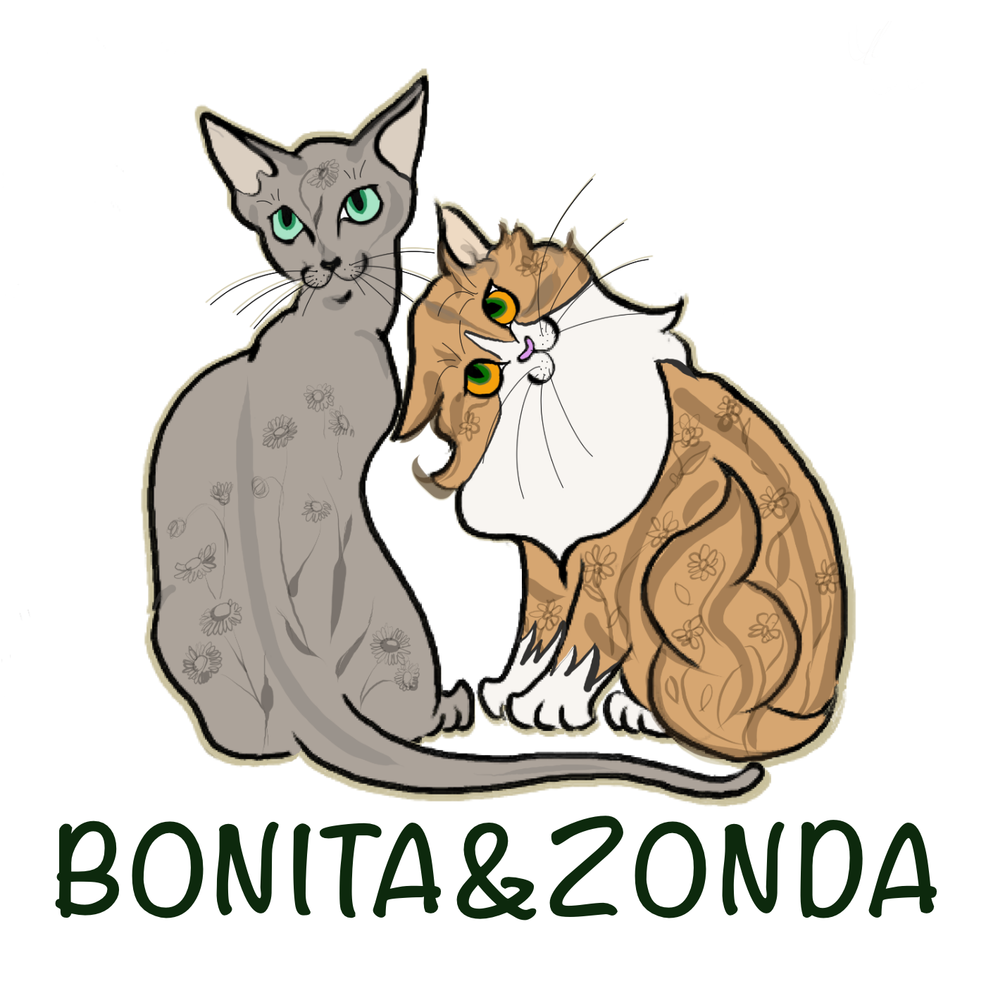 BONITA&ZONDA
