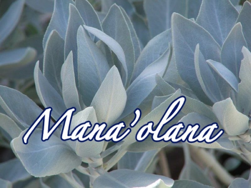 Manaolanaマナオラナ