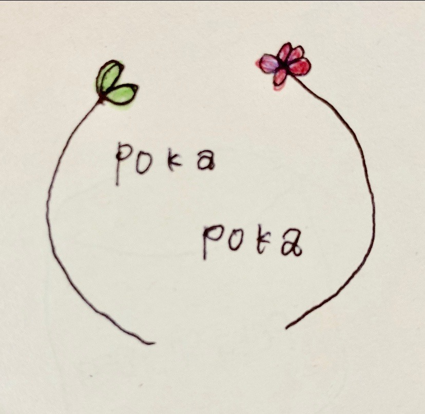 poka-poka 