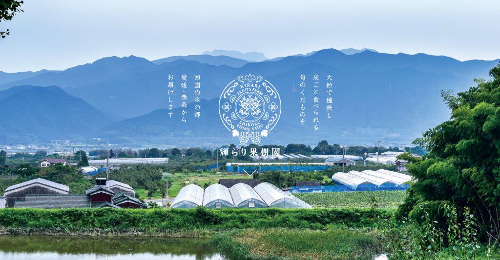 kirarifruits.base.shop