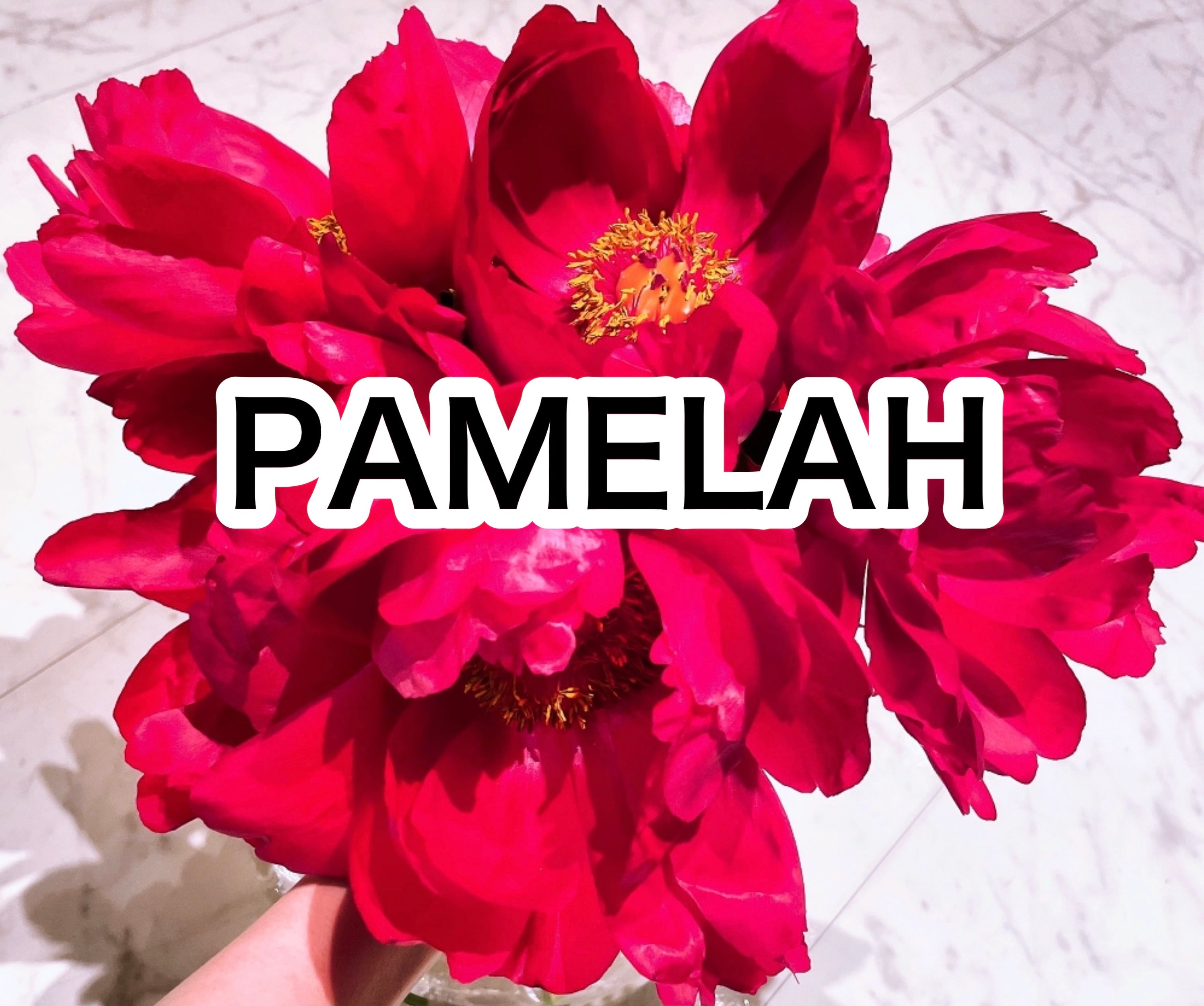 PAMELAH