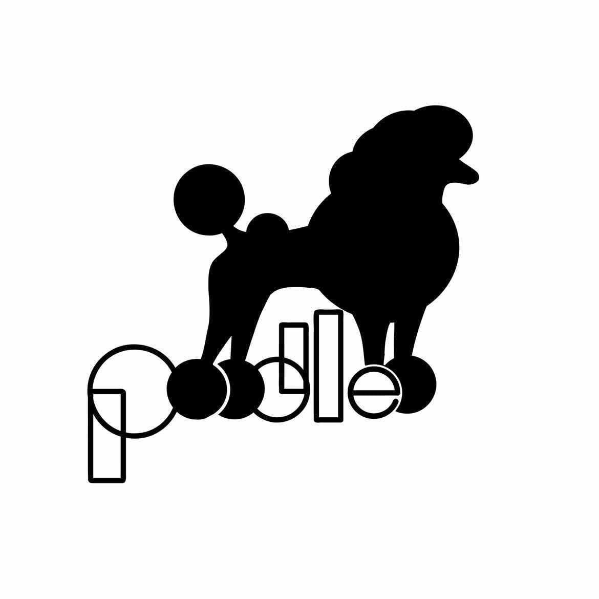 poodle