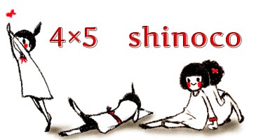4×5 shinoco