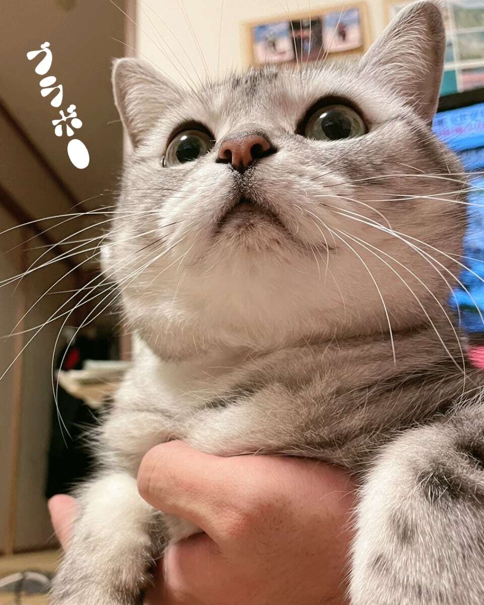 marinchan