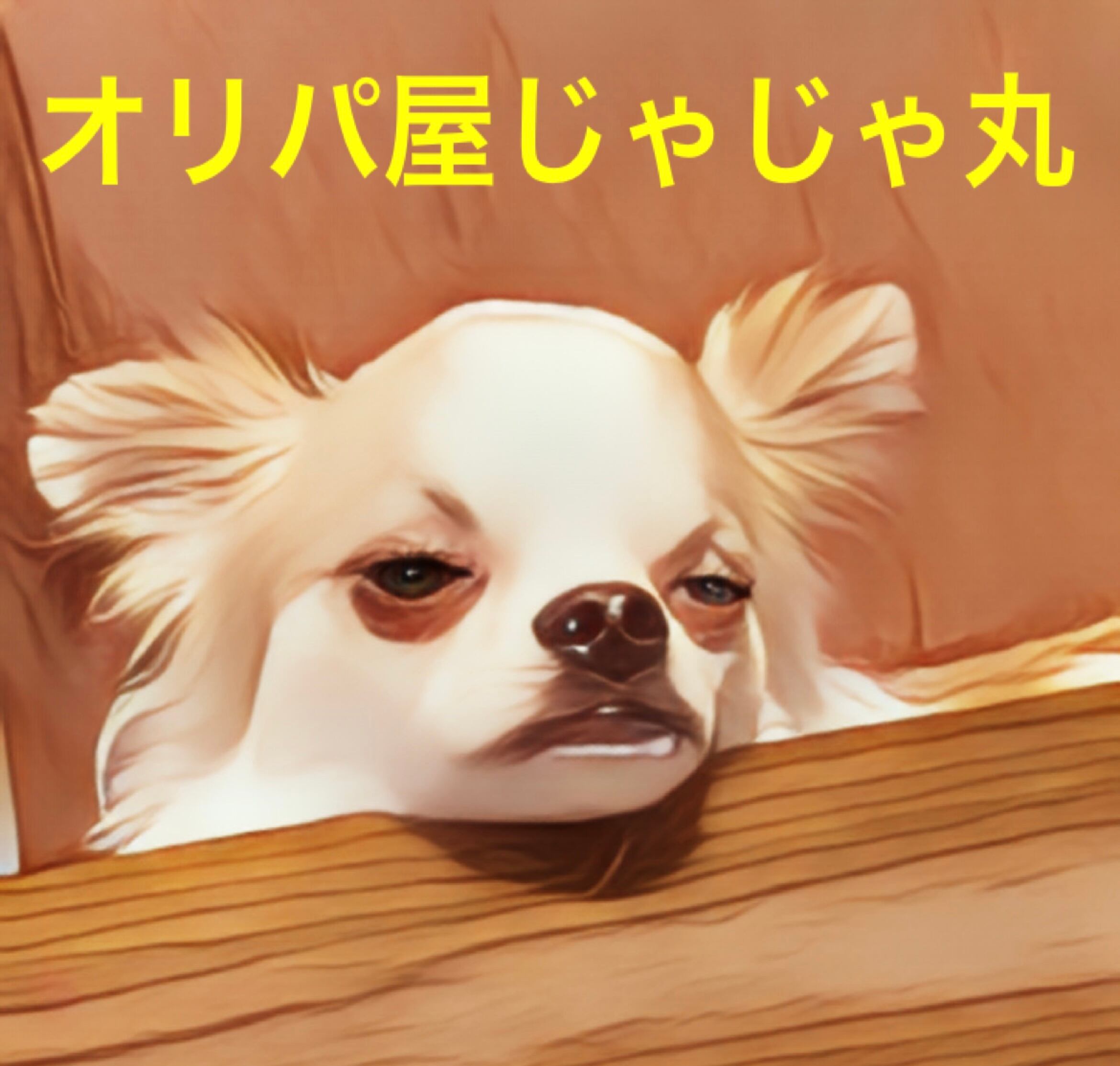 オリパ屋じゃじゃ丸