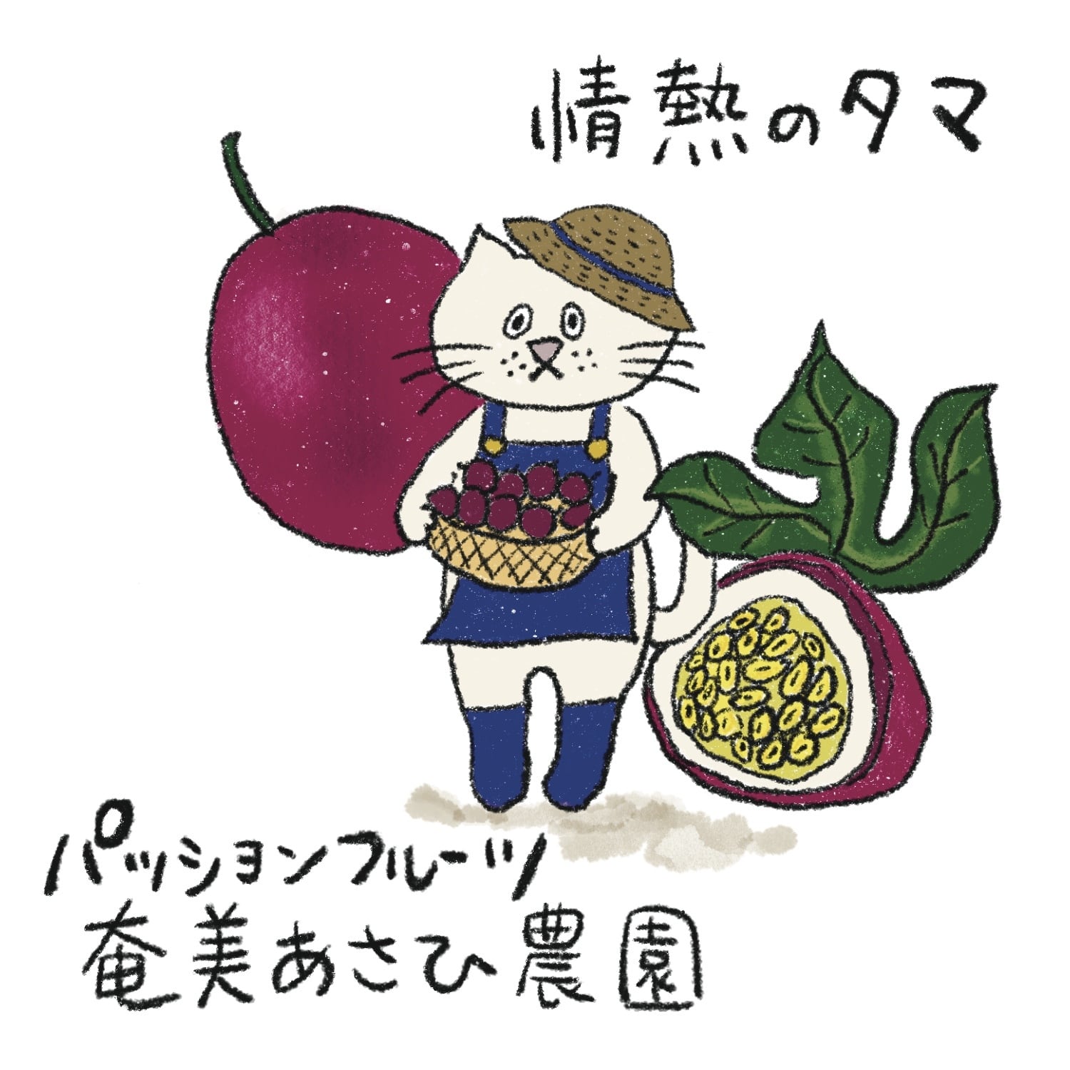 奄美あさひ農園