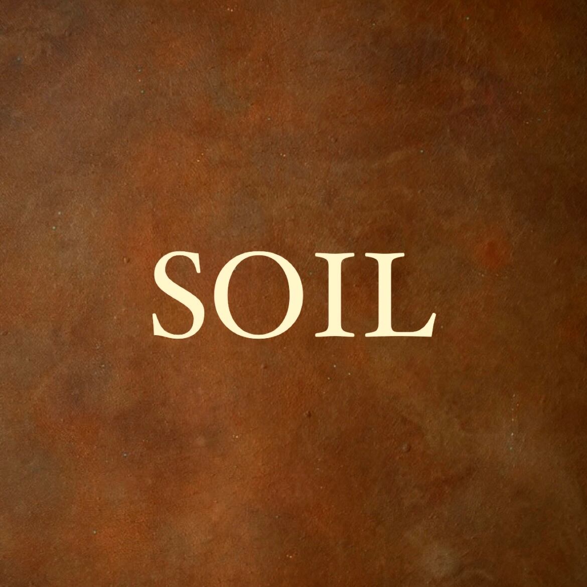 SOIL099