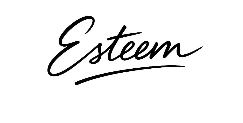 ESTEEM