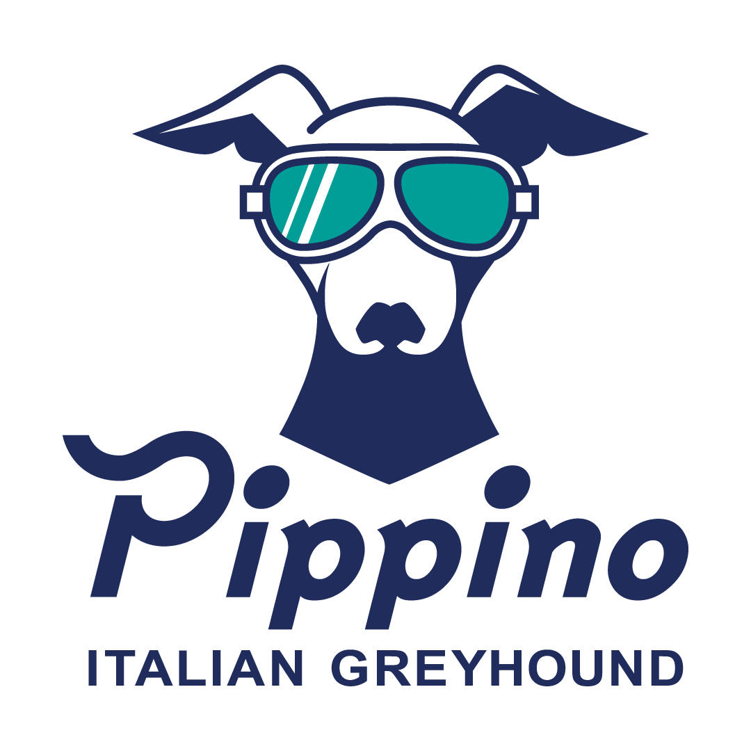 イタグレ服【Pippino】