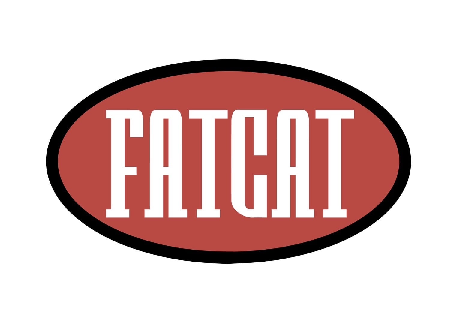FATCAT silver accessories
