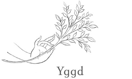 yggd