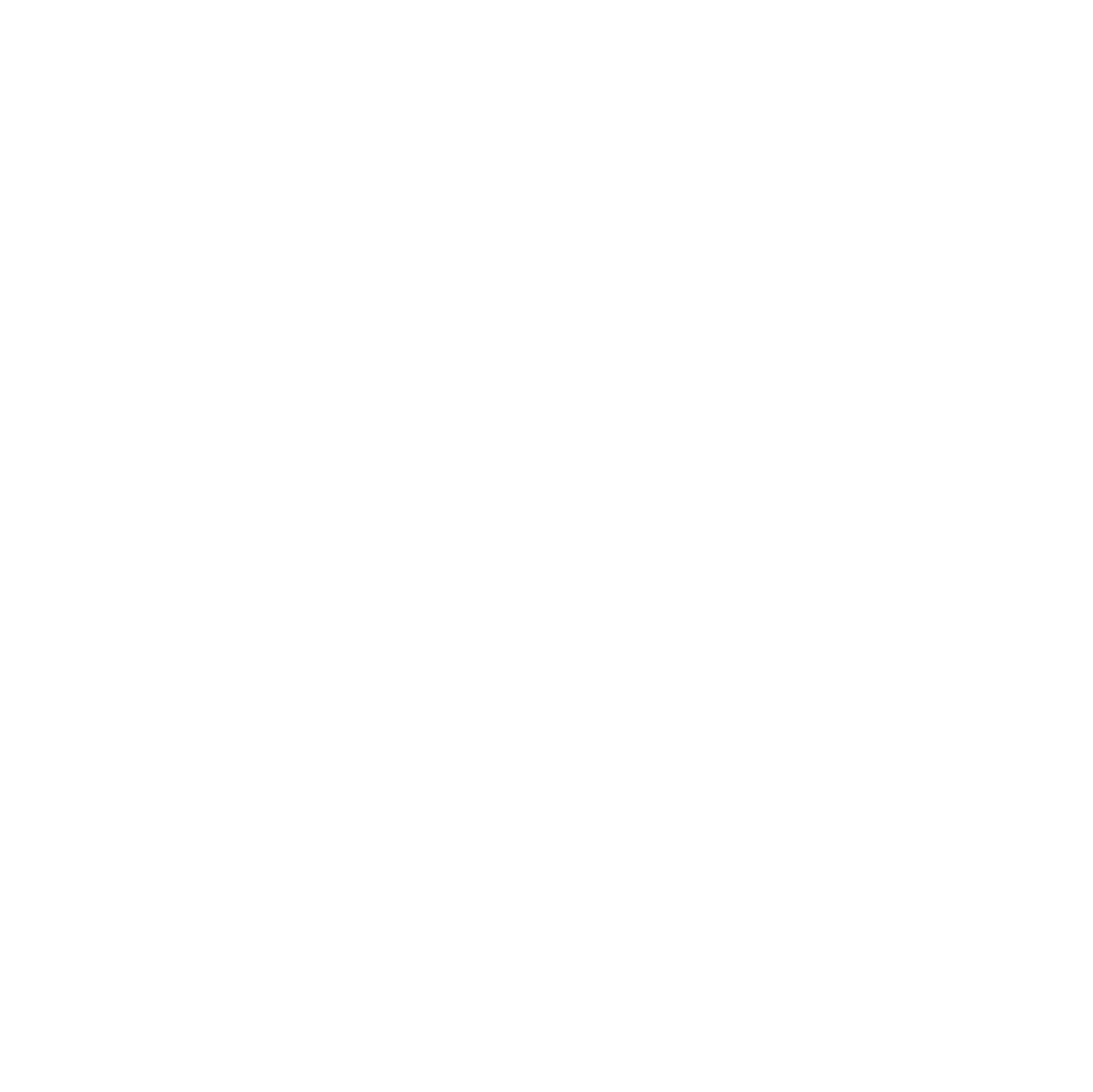 S.Dragon-Er store