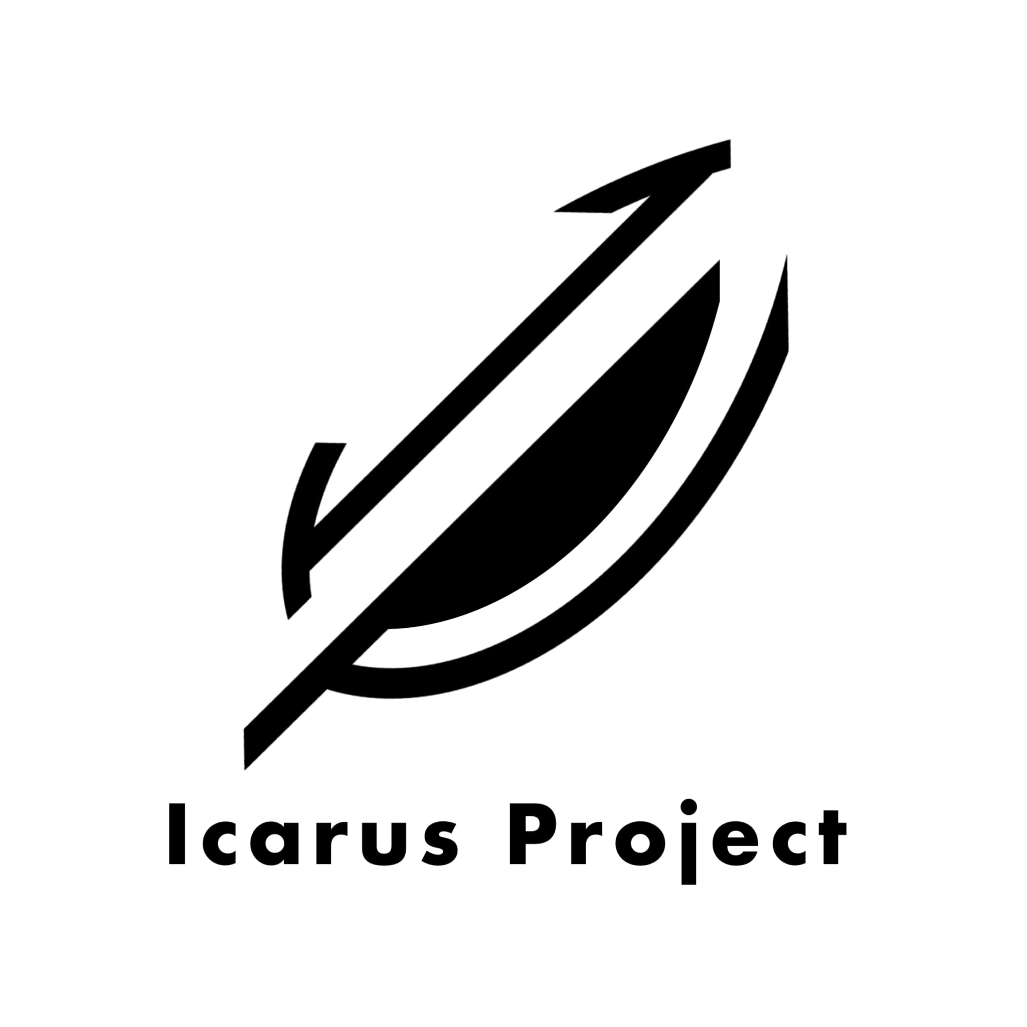 Icarus Project 3DP