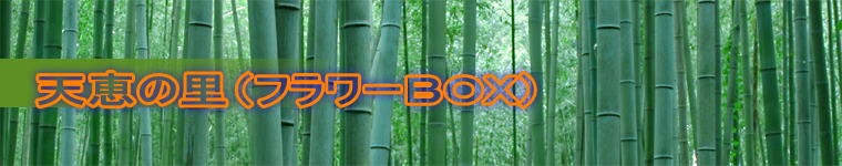 天恵の里（フラワーBOX）岐阜銘石本舗ブログ