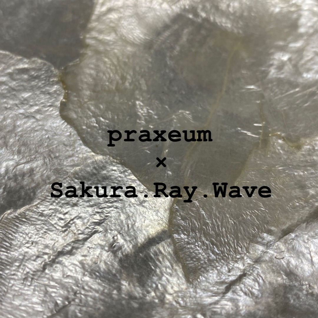 praxeum × Sakura.Ray.Wave