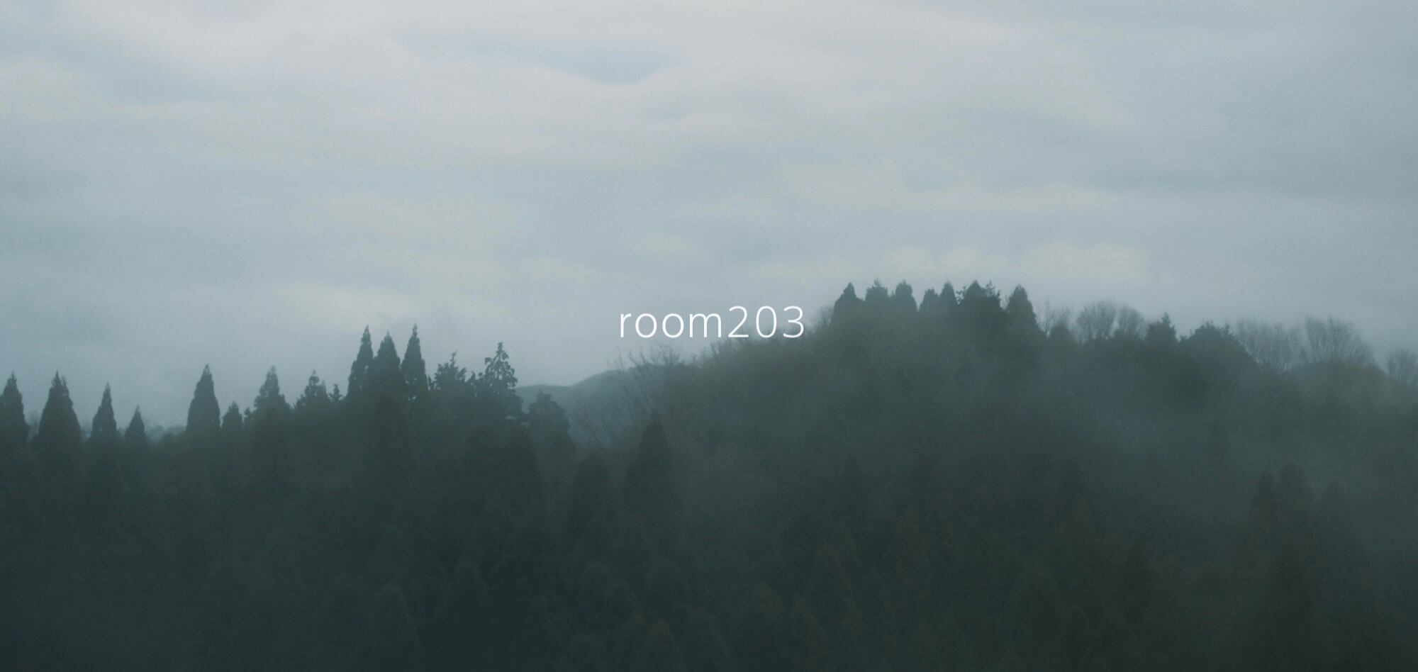 room203