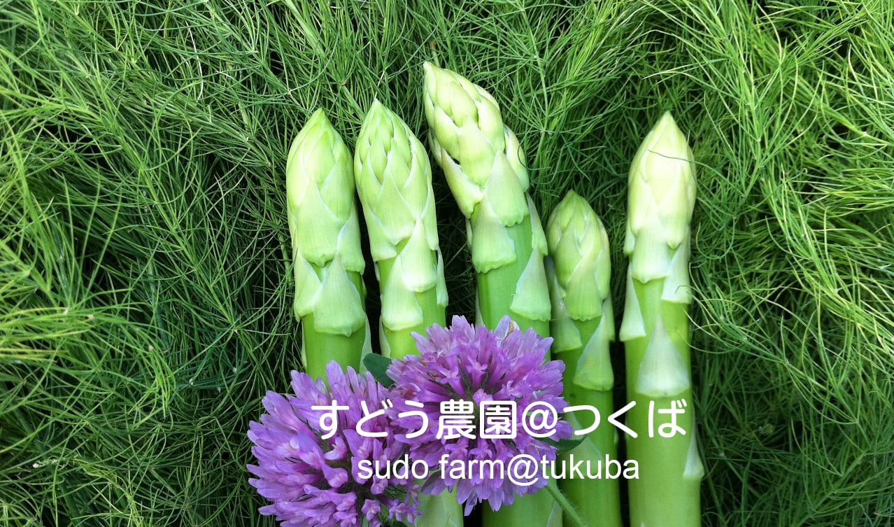 すどう農園＠つくば　茨城県認定　エコファーマー