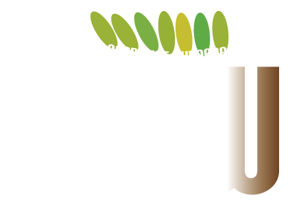 GLOW STORE