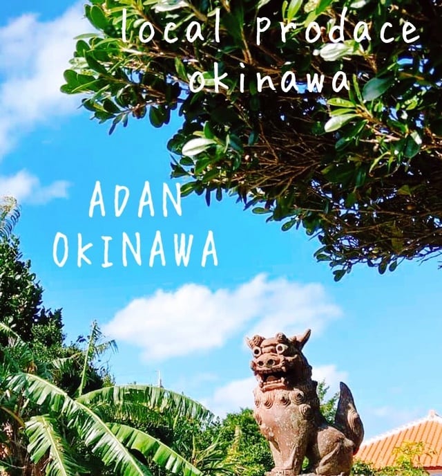 ADAN OKINAWA  アダン沖縄　BASE店　沖縄熱帯フルーツ、島野菜、沖縄特産品販売　ちょっとお取り寄せ