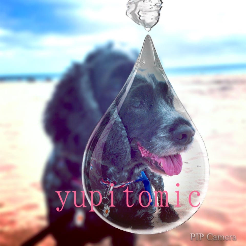 yupitomic