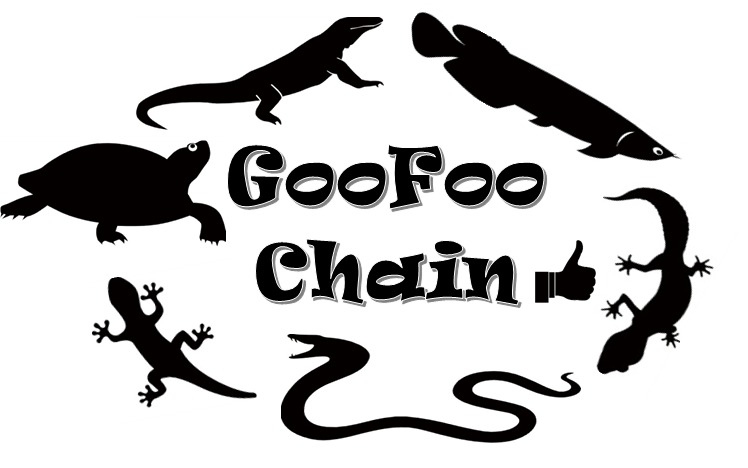 GoofooChain